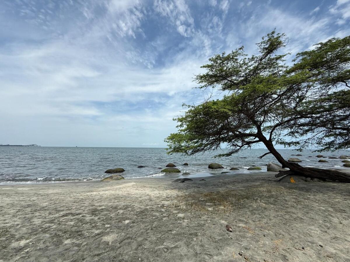 Apartamento Modern In Santa Marta (Magdalena)